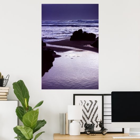 Boobys Bay Poster (Thuiskantoor)