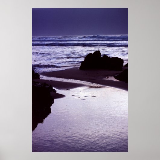 Boobys Bay Poster (Voorkant)