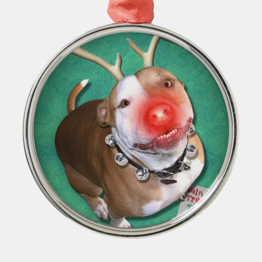 Boodolph Metalen Ornament (Voorkant)