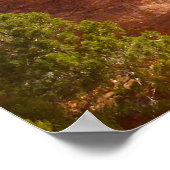 Boog Ar I in Arches National Park Poster (Hoek)