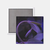 boog magneet (Voorkant / Achterkant)