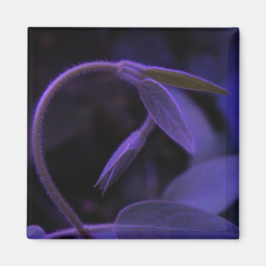 boog magneet (Voorkant)