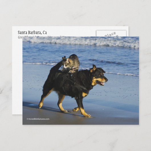 Booger, Kat en Mousey Briefkaart (Voorkant / Achterkant)