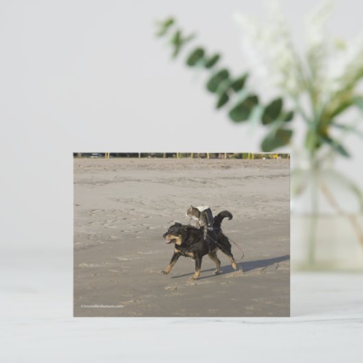 Booger, Kat en Mousey op het strand Briefkaart (Staand voorkant)