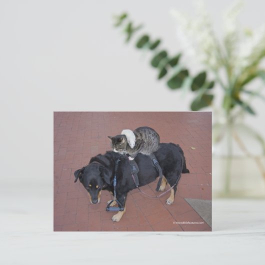 Booger, Kat en Mousey op State Street Briefkaart (Staand voorkant)