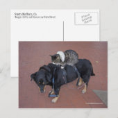 Booger, Kat en Mousey op State Street Briefkaart (Voorkant / Achterkant)