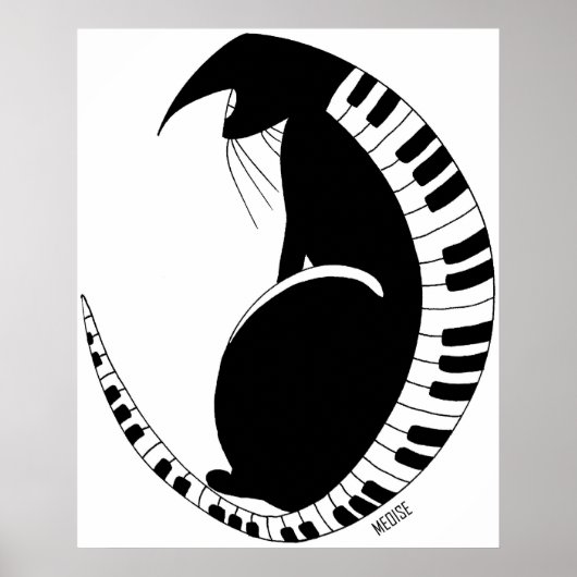 Boogie-kat Poster (Voorkant)