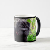 Boogie-Mok Magische Mok (Voorkant rechts)