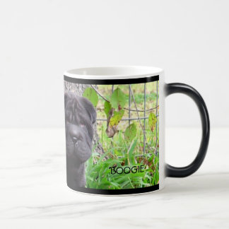 Boogie-Mok Magische Mok