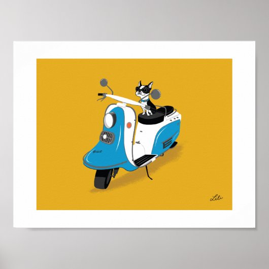 Boogie op Fuji Rabbit Poster (Voorkant)