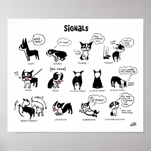 Boogie Signals van Lili Chin Poster (Voorkant)