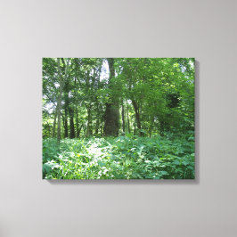 Booglijn Canvas Afdruk