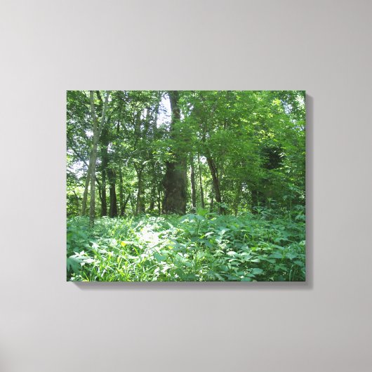 Booglijn Canvas Afdruk (Voorkant)