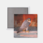 boogmagneet magneet (Voorkant / Achterkant)