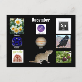 Boogschutter December Geboorte Maand BRIEFKAART