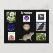 Boogschutter December Geboorte Maand BRIEFKAART (Voorkant)