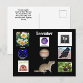 Boogschutter December Geboortemaand ANSICHTKAART Briefkaart (Voorkant / Achterkant)