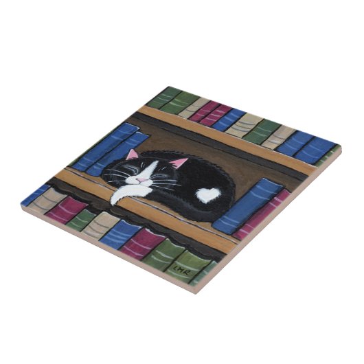 Book Love | Kat dat slaapt in boekenkast Tegeltje (Zijkant)