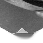 Booker T. Washington: 1903 Poster (Hoek)