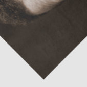 Booker Washington: Afro-Amerikaanse opvoeder Tissuepapier (Detail)