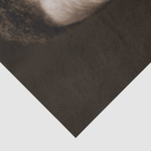 Booker Washington: Afro-Amerikaanse opvoeder Tissuepapier (Detail)