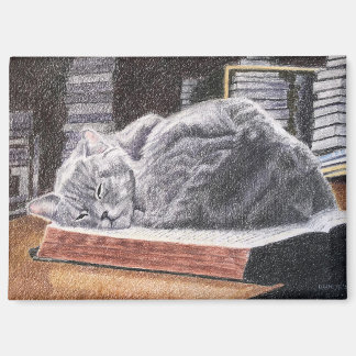 Bookstore Cat Magneet