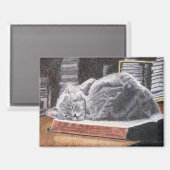 Bookstore Cat Magneet (Voorkant / Achterkant)