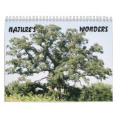 Boom-02, NATUUR, WONDERS Kalender (Hoes)