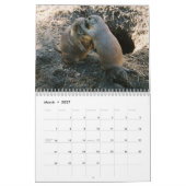Boom-02, NATUUR, WONDERS Kalender (Mar 2027)