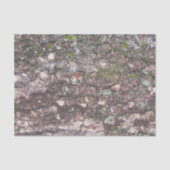 Boom 2 - Moss on Bark Tissuepapier (Voorkant)