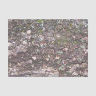 Boom 2 - Moss on Bark Tissuepapier