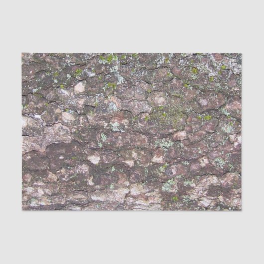 Boom 2 - Moss on Bark Tissuepapier (Voorkant)