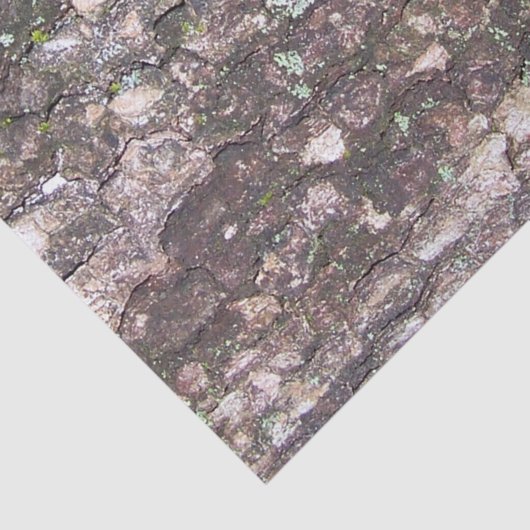 Boom 2 - Moss on Bark Tissuepapier (Detail)