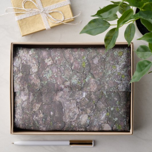 Boom 2 - Moss on Bark Tissuepapier (Geschenk)