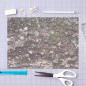 Boom 2 - Moss on Bark Tissuepapier (Craft)