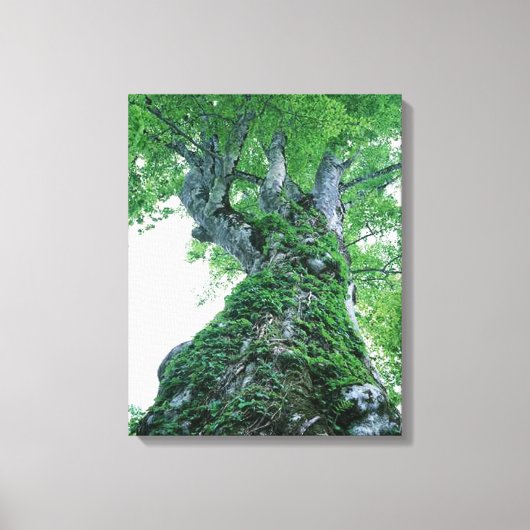 Boom 89 Uitgerekte canvasprint Canvas Afdruk (Voorkant)