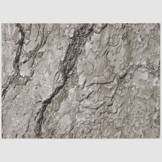 Boom A Tissuepapier (Voorkant)