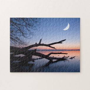 Boom aan de Starnbergersee   Muensing Beieren Duit Legpuzzel