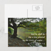 Boom aangeplant door de rivier, Psalm 1:3, Schrift Briefkaart (Voorkant / Achterkant)