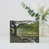 Boom aangeplant door de rivier, Psalm 1:3, Schrift Briefkaart (Staand voorkant)