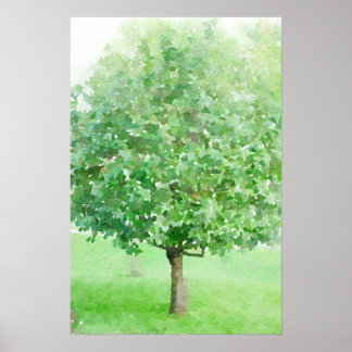Boom Abstracte Waterverf Impressionistisch schilde Poster