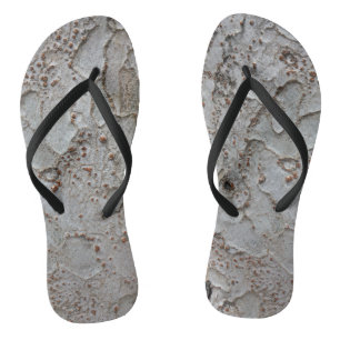 Boom Bark Foto Aarde Tone Rustige Natuur Teenslippers