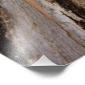 Boom Bark I Natuurlijk Abstract getextureerd ontwe Foto Afdruk (Hoek)