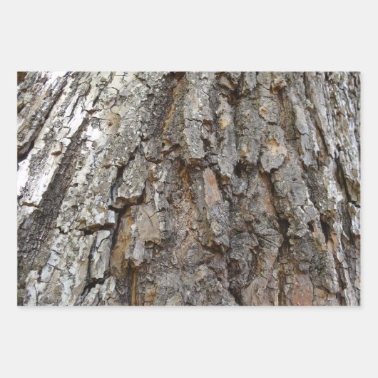 Boom Bark I Natuurlijk Abstract getextureerd ontwe Inpakpapier Vel (Voorkant 2)