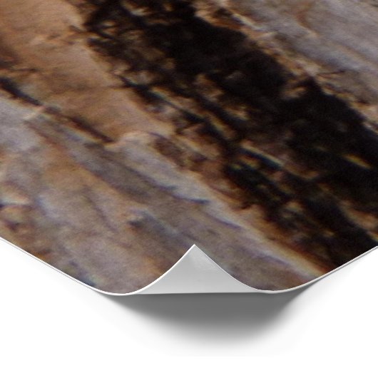 Boom Bark I Natuurlijk Abstract getextureerd ontwe Poster (Hoek)