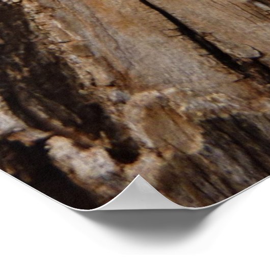 Boom Bark I Natuurlijk Abstract getextureerd ontwe Poster (Hoek)