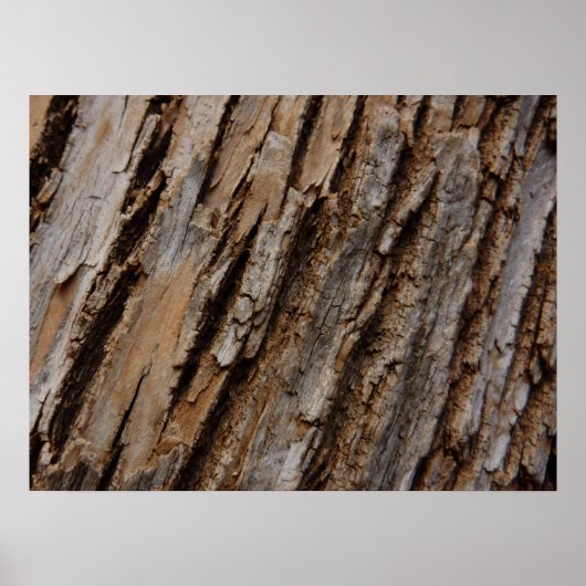 Boom Bark I Natuurlijk Abstract getextureerd ontwe Poster (Voorkant)