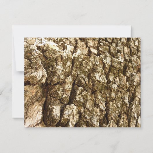 Boom Bark II Natuurlijke getextureerd ontwerp (Voorkant)