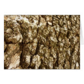 Boom Bark II Natuurlijke getextureerd ontwerp (Voorkant Horizontaal)