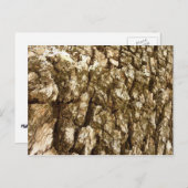 Boom Bark II Natuurlijke getextureerd ontwerp Briefkaart (Voorkant / Achterkant)